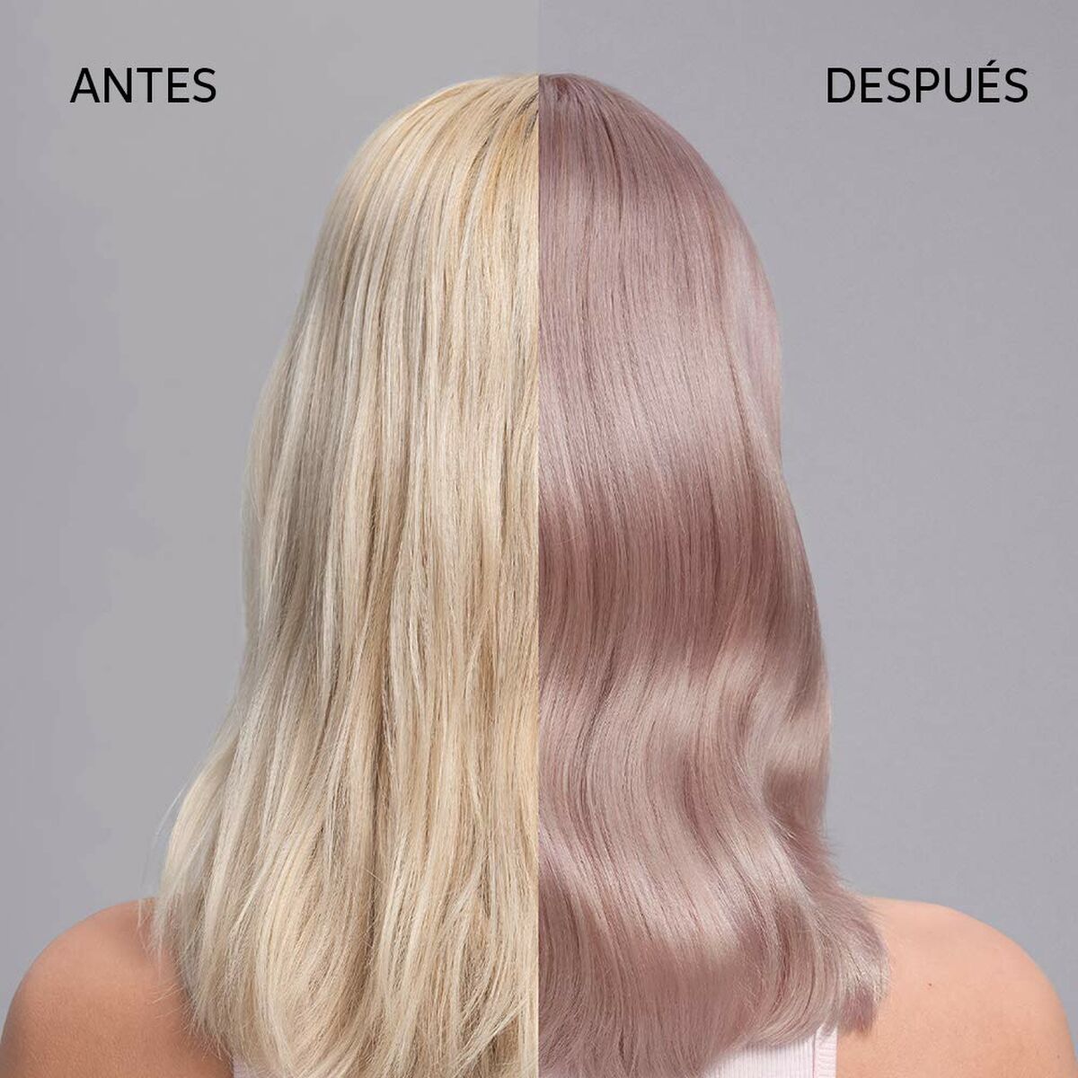 V6H7DE79E522C981B36BB369D4DD7162B3ER4935952P2